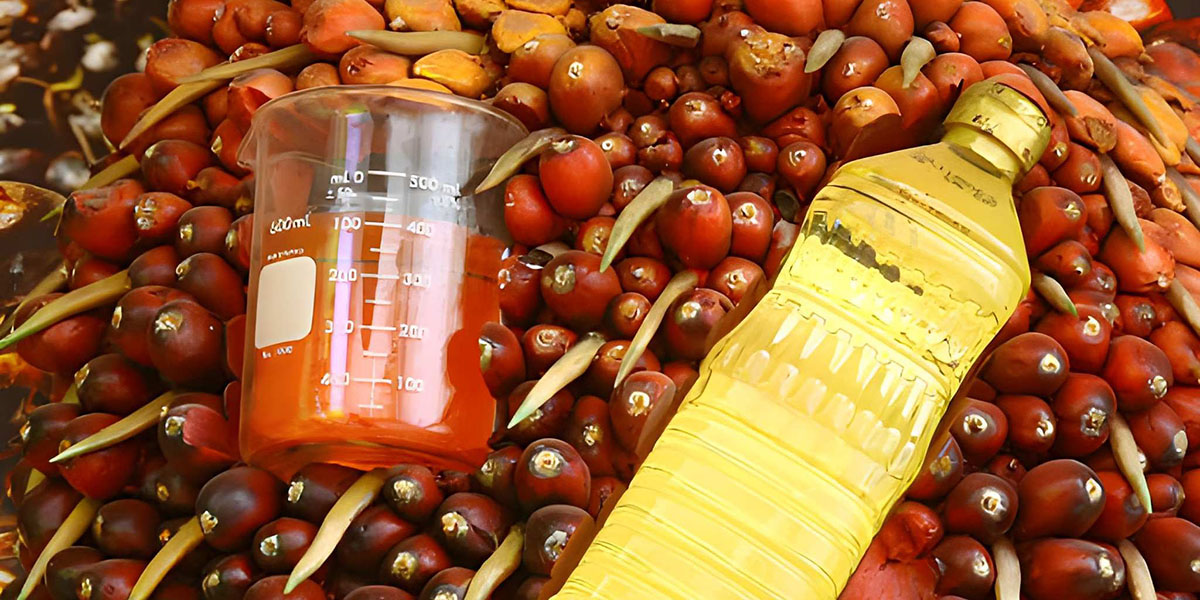 Palm Oil Derivative Products Supply